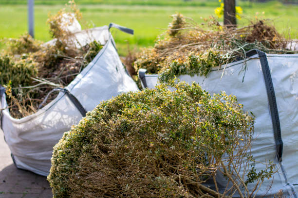 Best Yard Waste Removal  in Enetai, WA